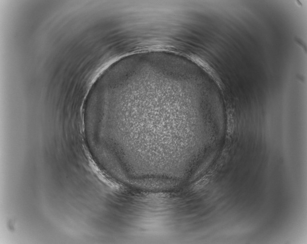 X0000100871031200807071057