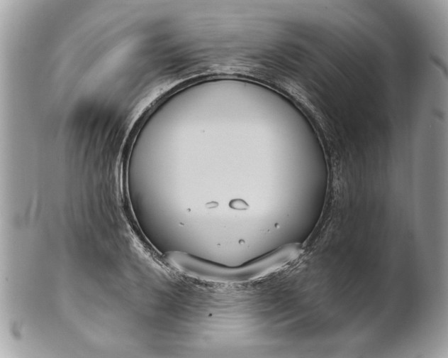 X0000100871032200807071057