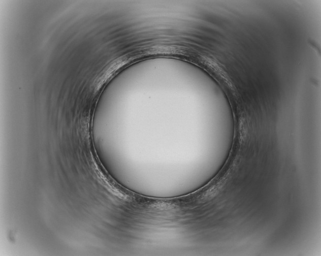 X0000100871033200807071057