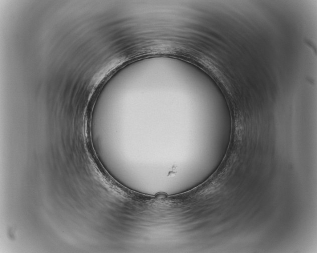 X0000100871034200807071057