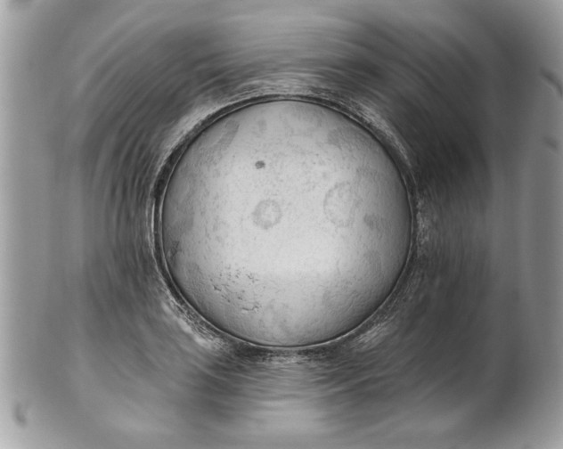 X0000100871035200807071058