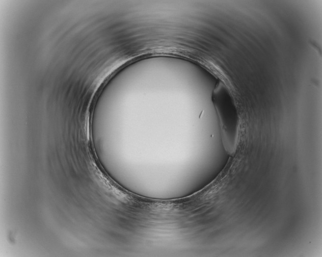 X0000100871036200807071058