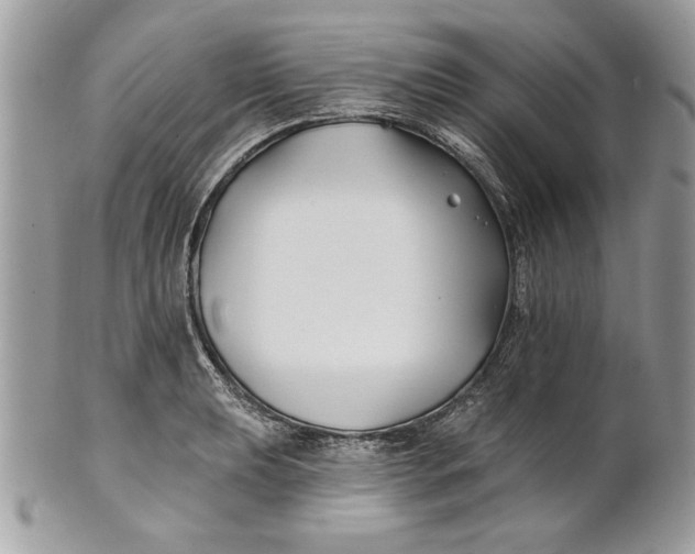 X0000100871039200807071058