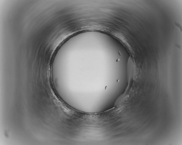 X0000100871040200807071058