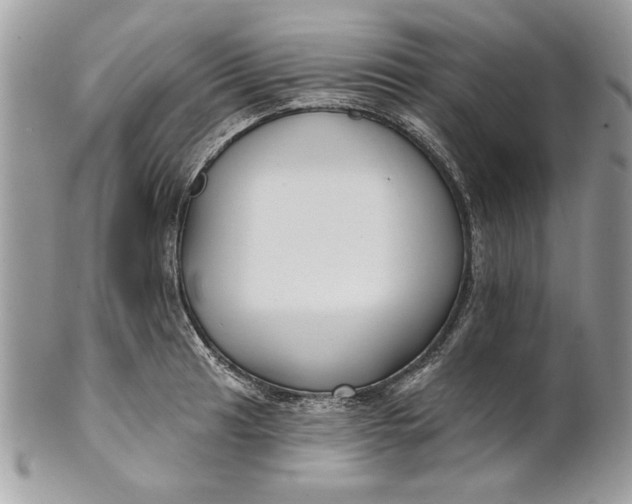 X0000100871041200807071058