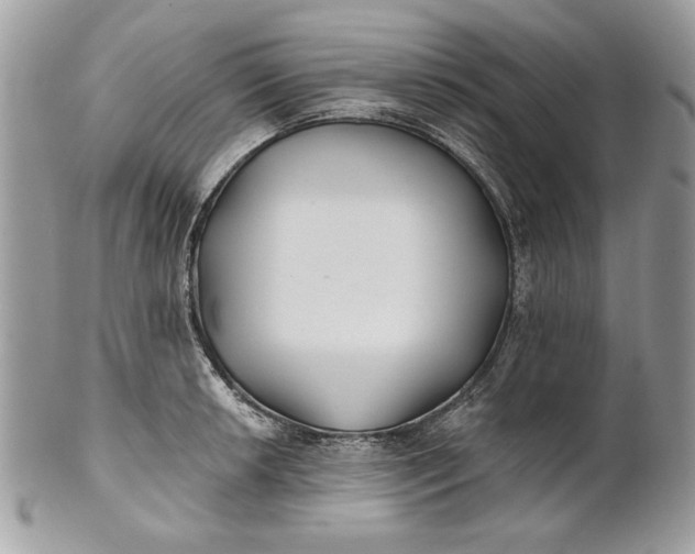 X0000100871042200807071058