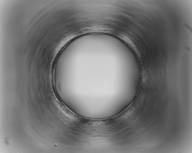 X0000100871043200807071058