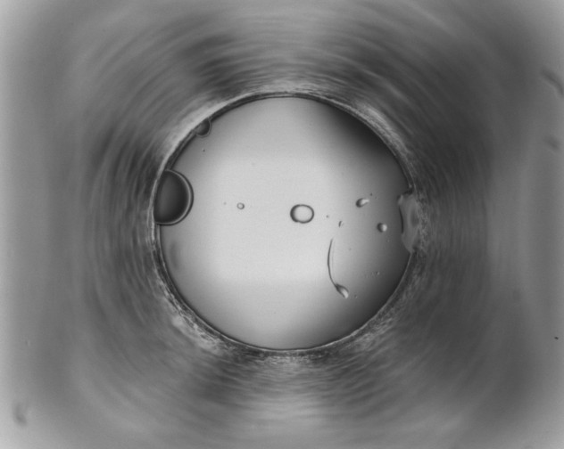 X0000100871044200807071058