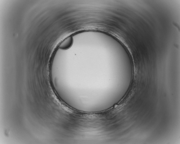 X0000100871045200807071058