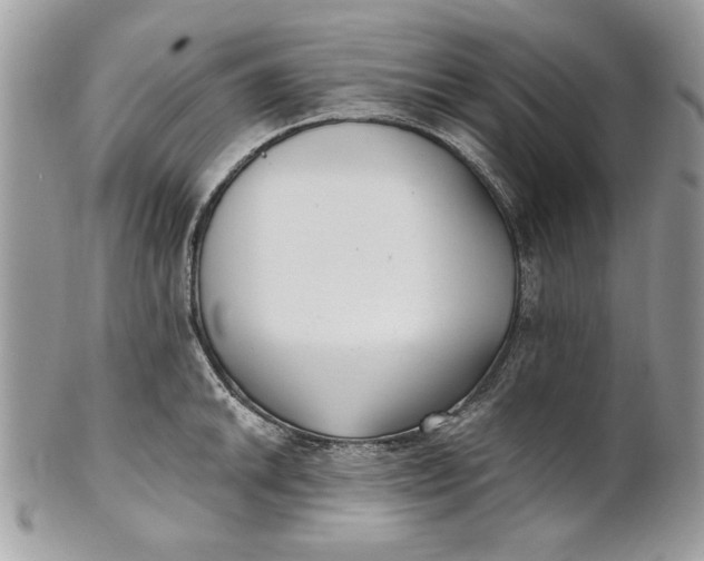 X0000100871046200807071058