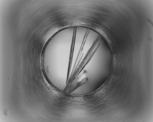 X0000100871047200807071058