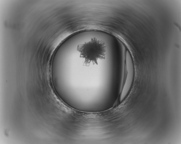 X0000100871048200807071058