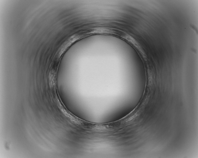 X0000100871049200807071058