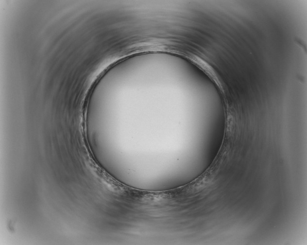 X0000100871051200807071058