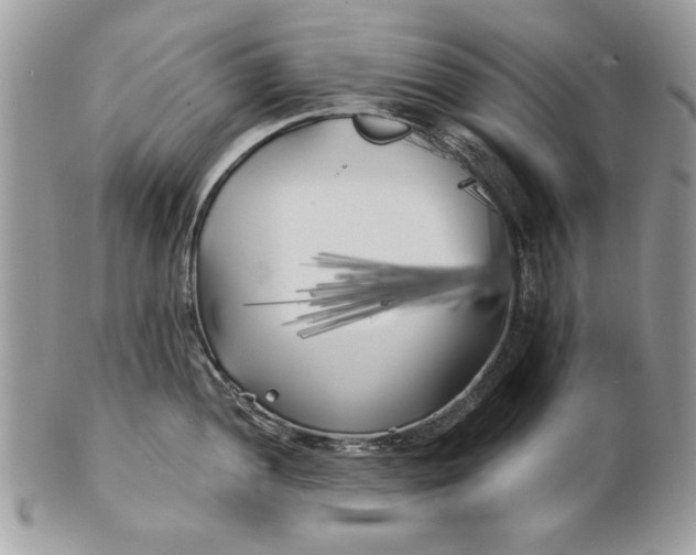 X0000100871052200807071058