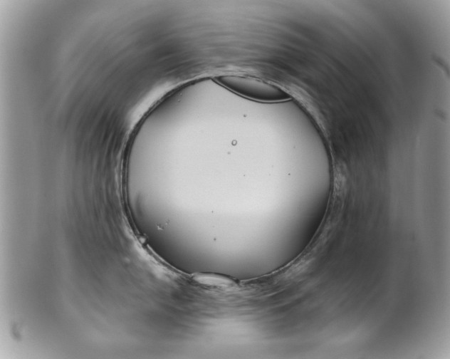 X0000100871054200807071058