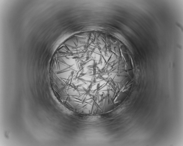 X0000100871055200807071058