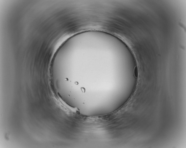 X0000100871056200807071058