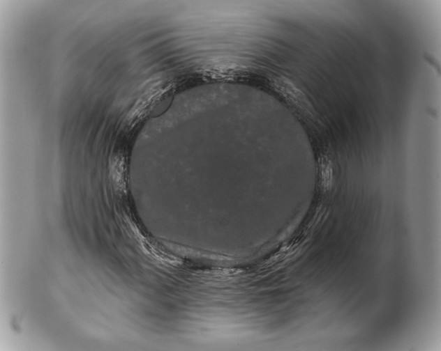 X0000100871060200807071057