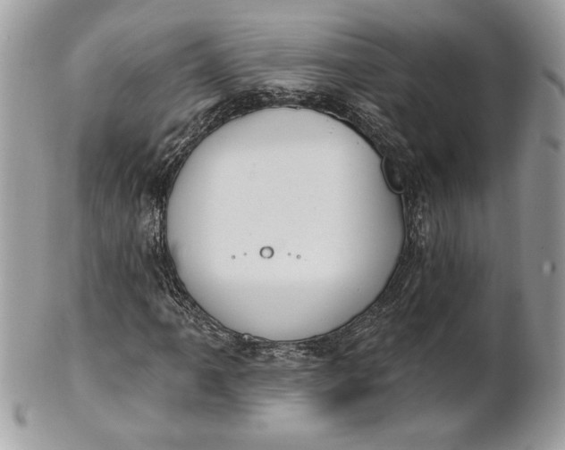 X0000100871061200807071057