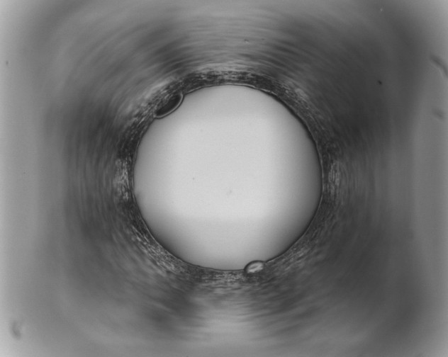 X0000100871062200807071057