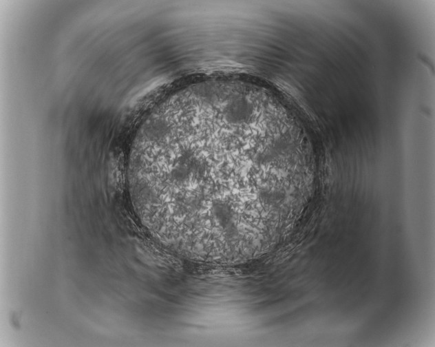 X0000100871063200807071057