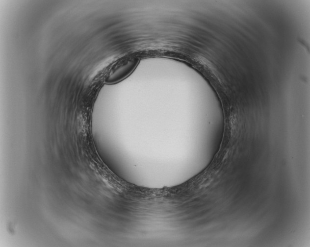 X0000100871064200807071057