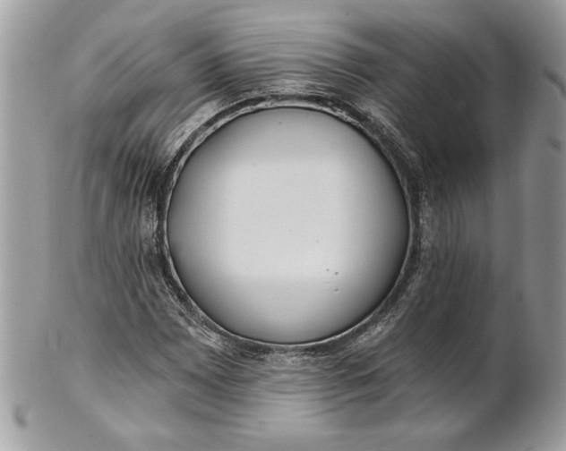 X0000100871065200807071057