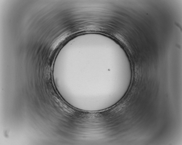 X0000100871067200807071057