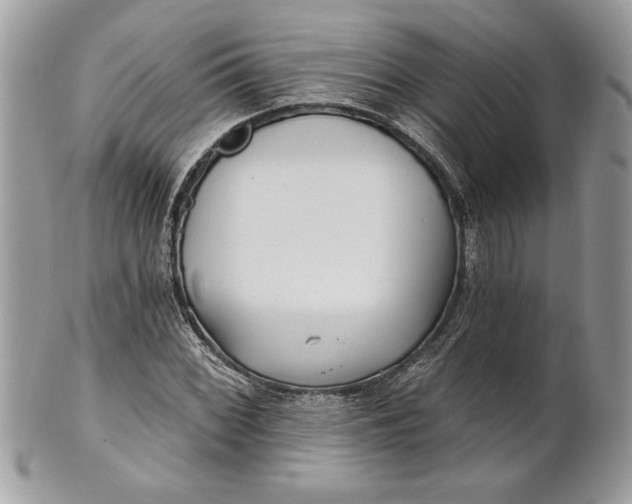 X0000100871068200807071057