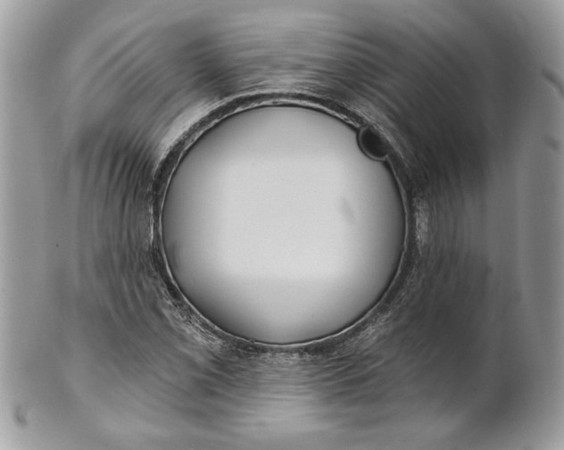 X0000100871069200807071057