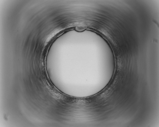 X0000100871070200807071057