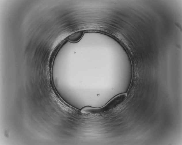 X0000100871072200807071057