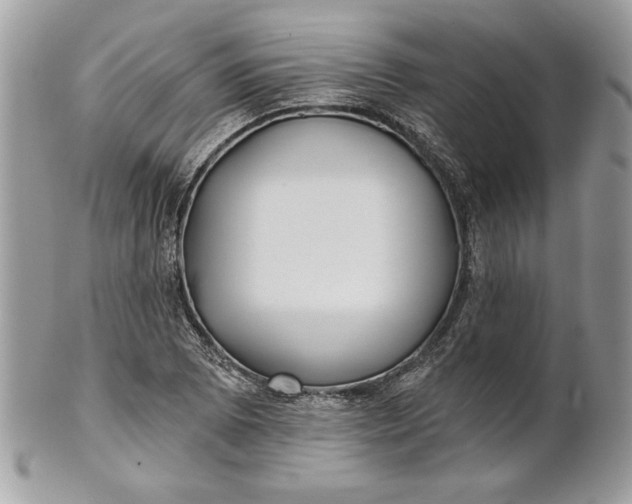 X0000100871073200807071057