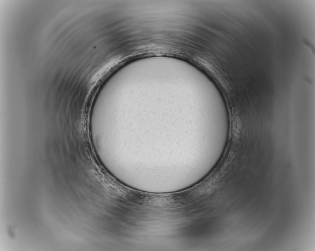 X0000100871074200807071057