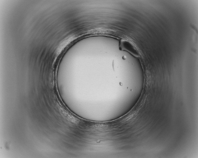 X0000100871075200807071057