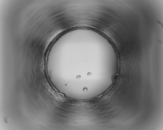 X0000100871076200807071057