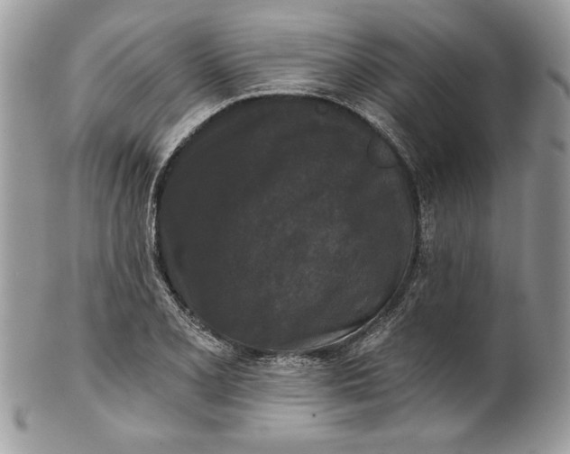 X0000100871077200807071056