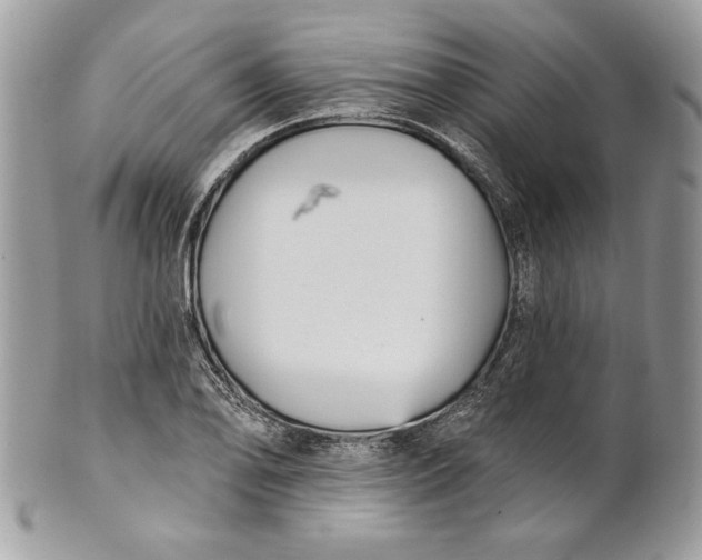 X0000100871078200807071056