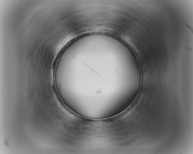 X0000100871079200807071056