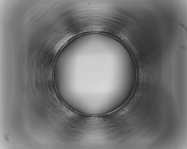 X0000100871081200807071056