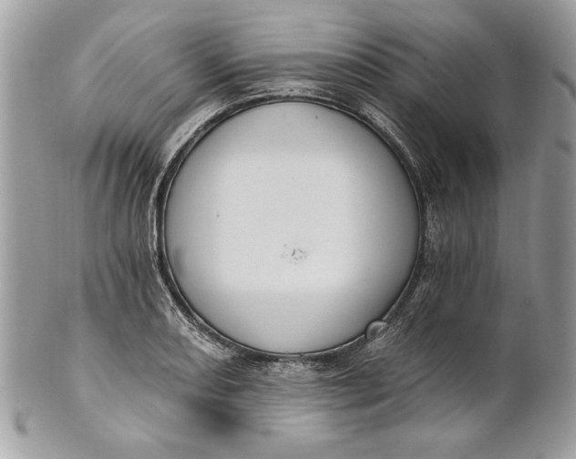 X0000100871082200807071056