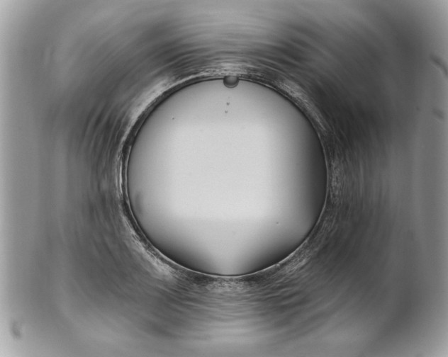 X0000100871083200807071056