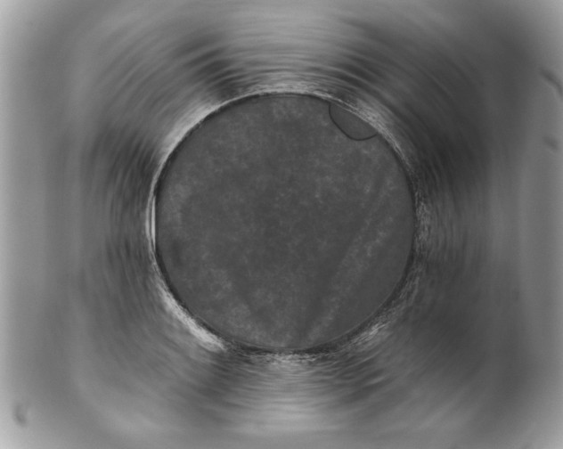 X0000100871084200807071056