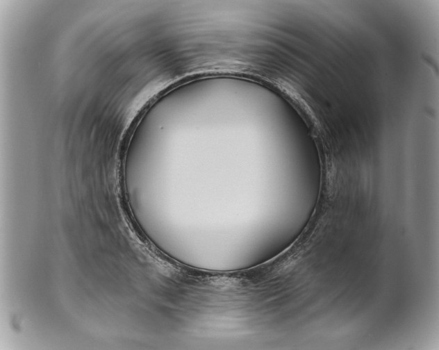 X0000100871085200807071056