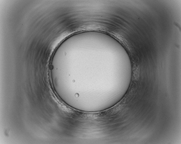 X0000100871086200807071056