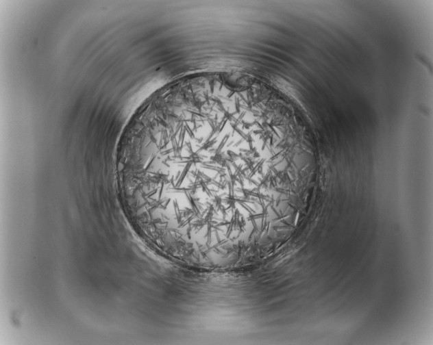 X0000100871087200807071056