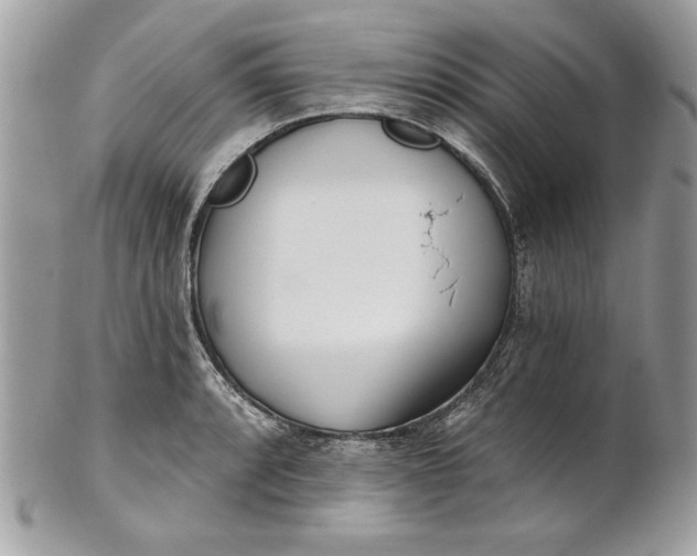 X0000100871088200807071056