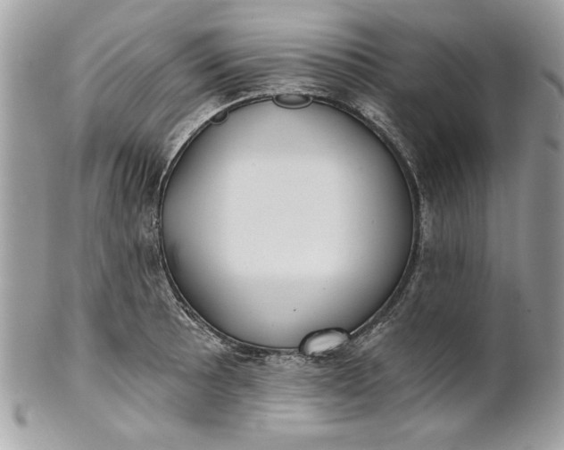 X0000100871089200807071056