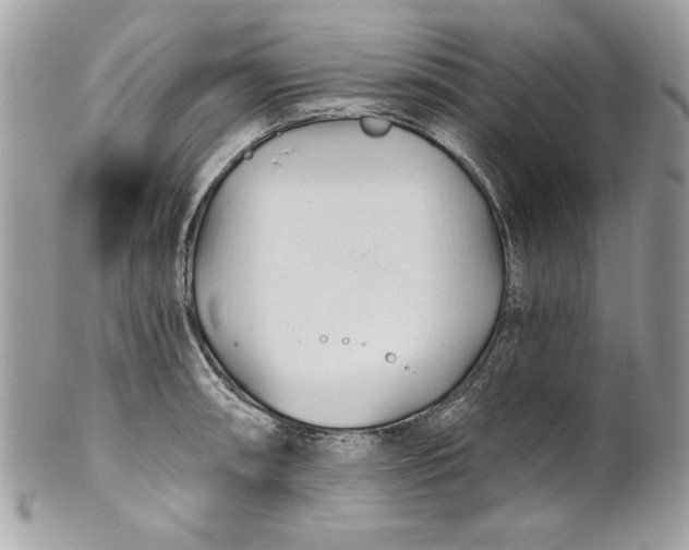 X0000100871090200807071056